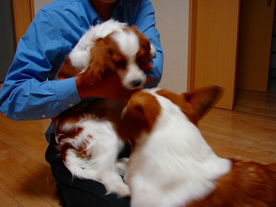c0153410_17144868.jpg