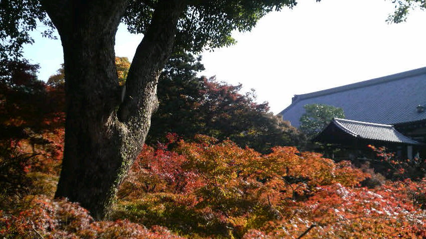b0119819_22201673.jpg