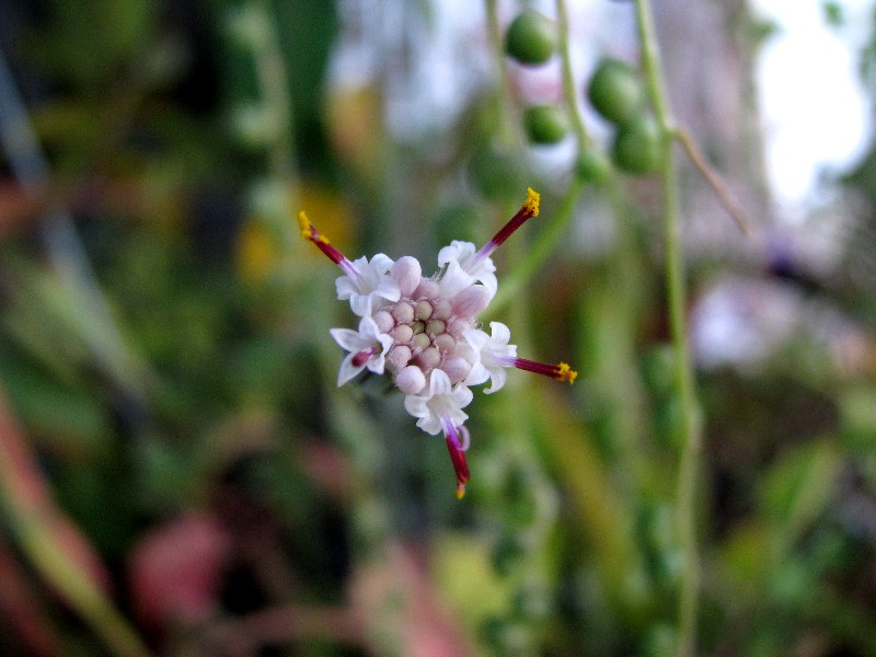 a0004023_21432328.jpg