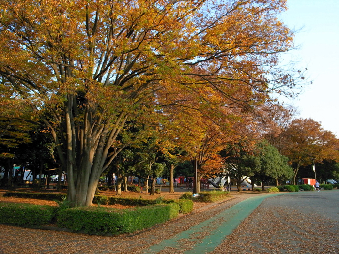 e0135024_9571471.jpg