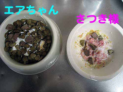 b0066826_0101485.jpg