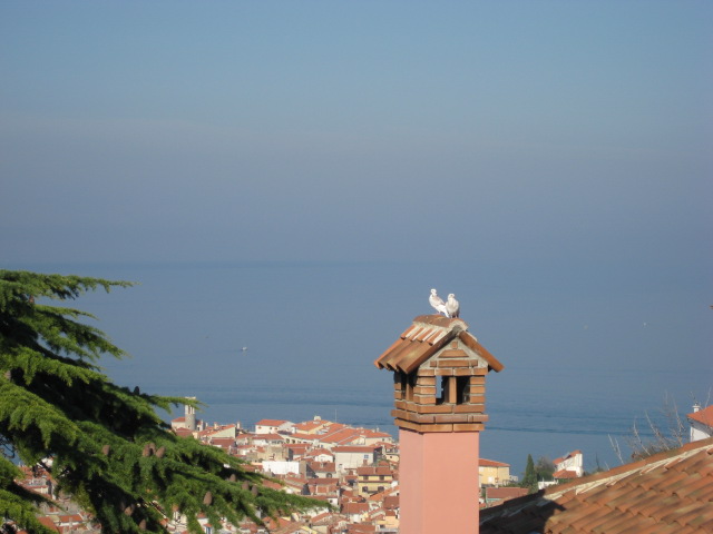 d0147727_19383447.jpg