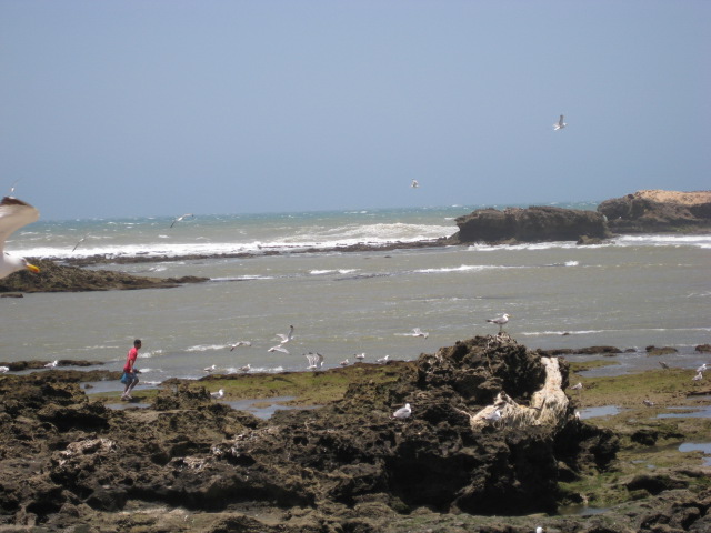 d0147727_19541371.jpg