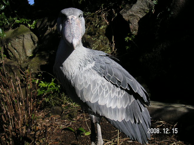 a0020929_21181645.jpg