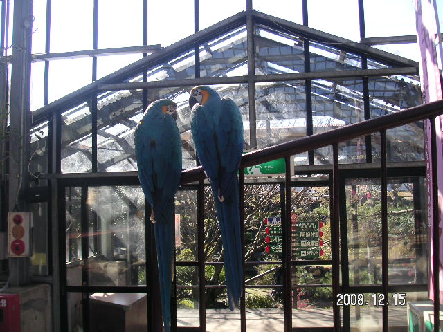 a0020929_21323463.jpg