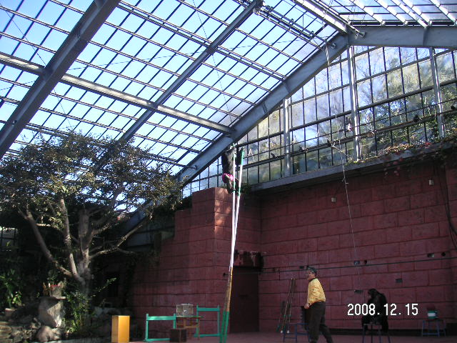 a0020929_21353024.jpg
