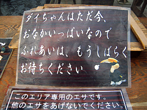 d0017632_16254964.jpg