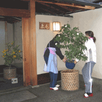 d0033734_15401452.gif