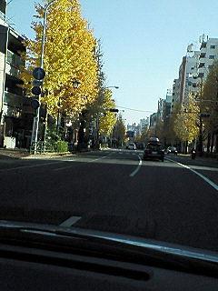f0161834_23381588.jpg