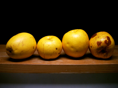 a0101536_14393455.jpg