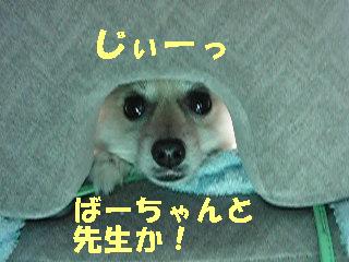 c0179136_344211.jpg