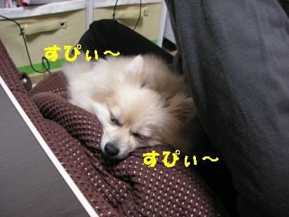 c0179136_35320.jpg