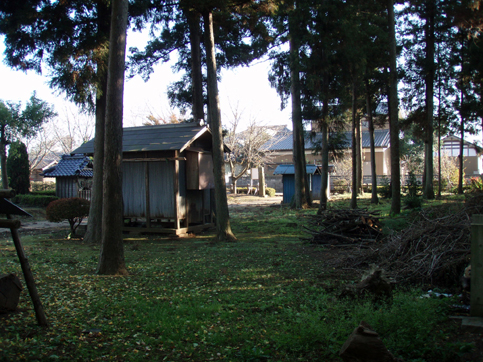 d0110641_2004076.jpg