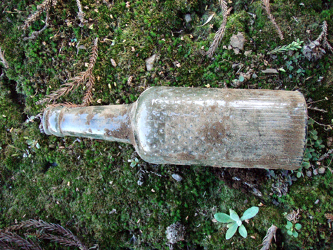 d0110641_2005473.jpg