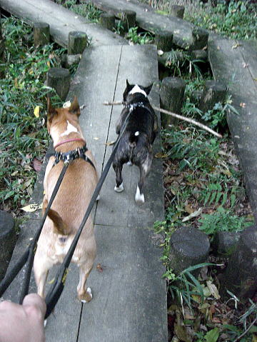 f0094843_13451612.jpg