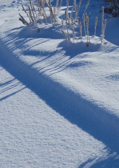 c0181652_7193243.jpg