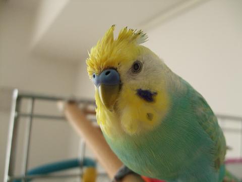 f0149057_23393434.jpg
