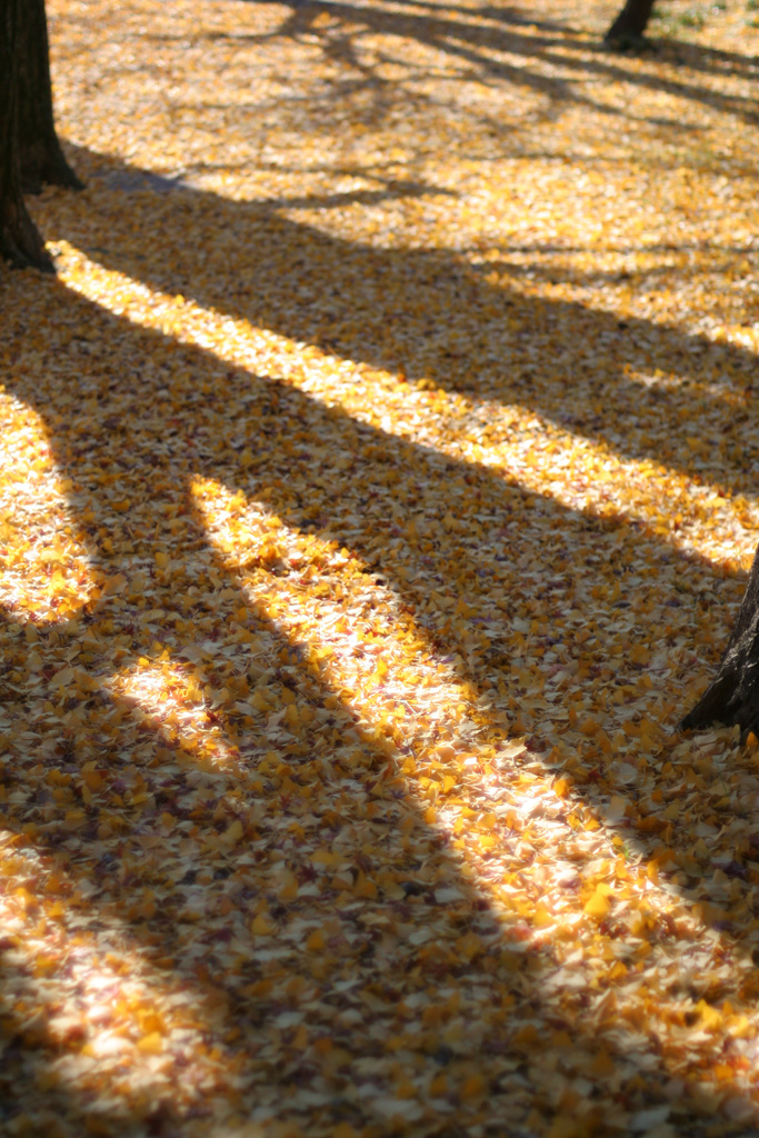 d0148060_2263446.jpg