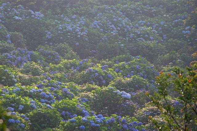 c0185066_2295181.jpg