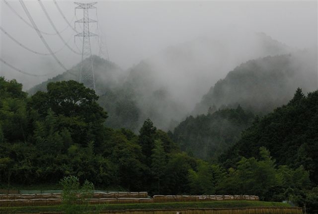 c0185066_250672.jpg