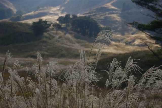c0185066_817840.jpg