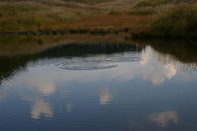 c0185066_818044.jpg
