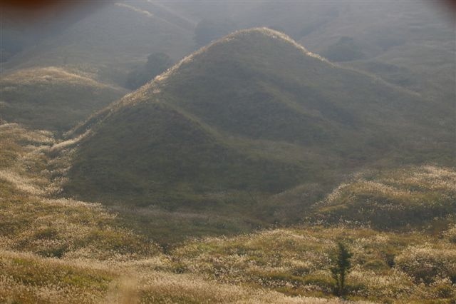 c0185066_8182891.jpg