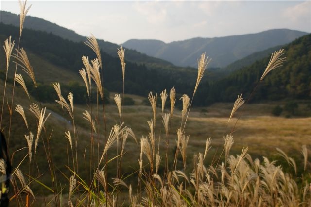 c0185066_819336.jpg