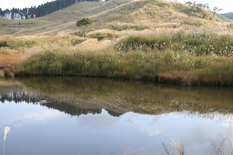 c0185066_8205461.jpg