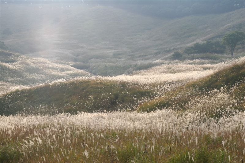 c0185066_8212914.jpg