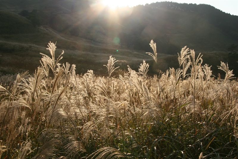 c0185066_8231670.jpg