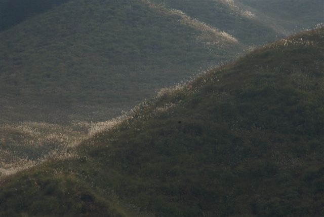 c0185066_8252717.jpg