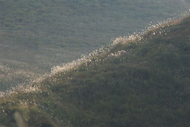 c0185066_8255042.jpg