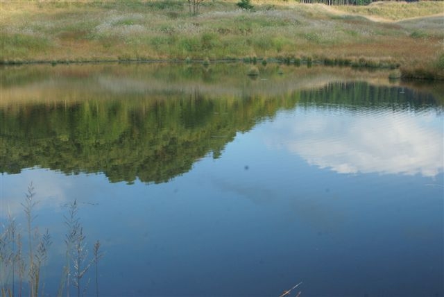 c0185066_8264468.jpg