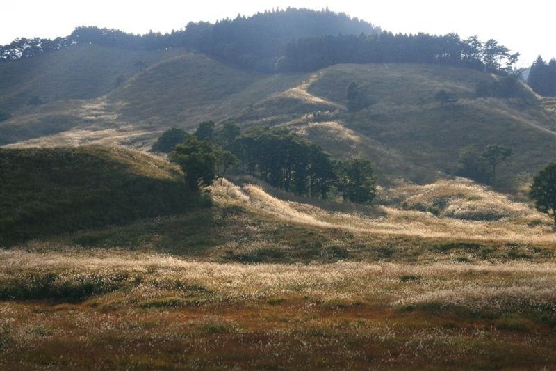 c0185066_830255.jpg