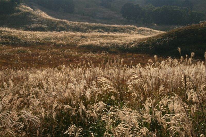 c0185066_8305529.jpg