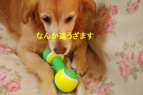 e0020166_2013176.jpg