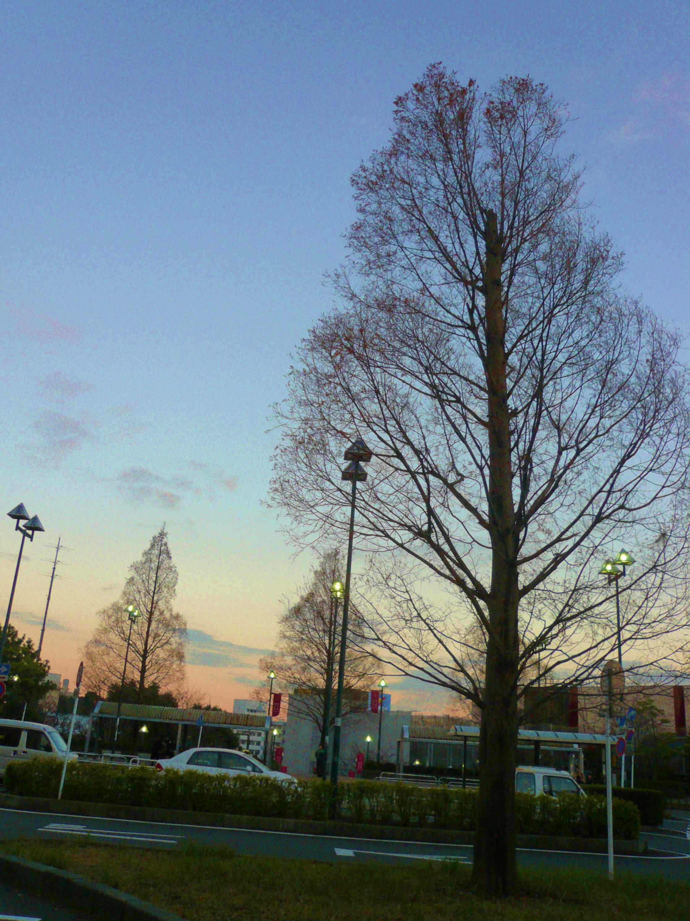 b0151371_1932498.jpg