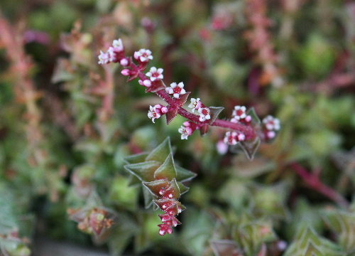 f0181173_122235.jpg