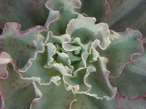 f0181173_1744728.jpg