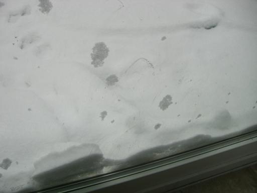 f0112080_18404676.jpg