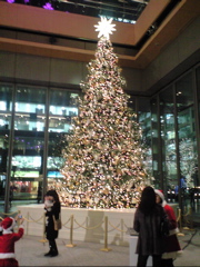 b0034381_6382742.jpg