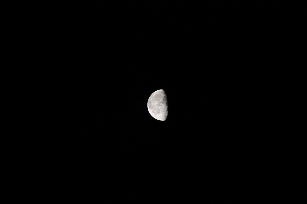 e0024081_8125139.jpg