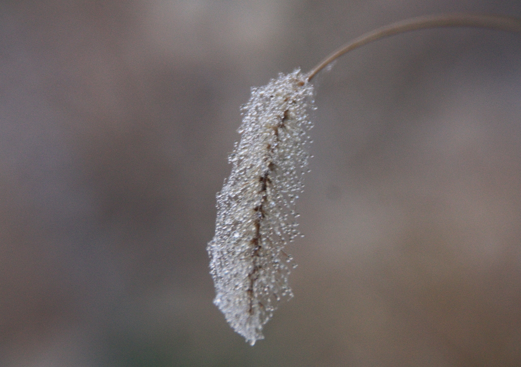 e0024081_814964.jpg