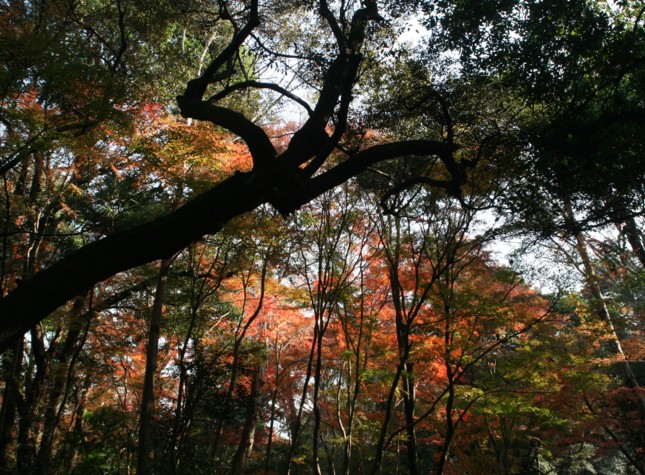 c0144185_10274634.jpg