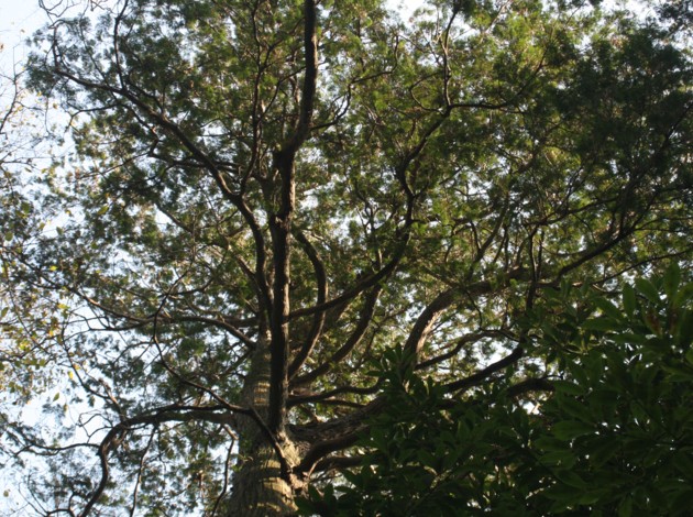 c0144185_105944.jpg