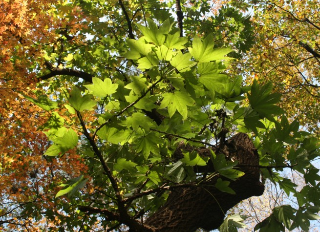 c0144185_1147417.jpg