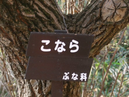 c0144185_1171189.jpg