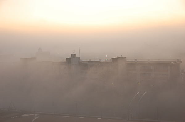 d0014690_19143197.jpg