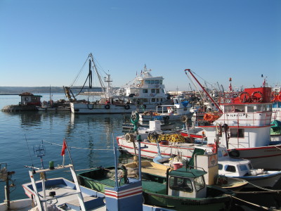 f0058691_6114722.jpg